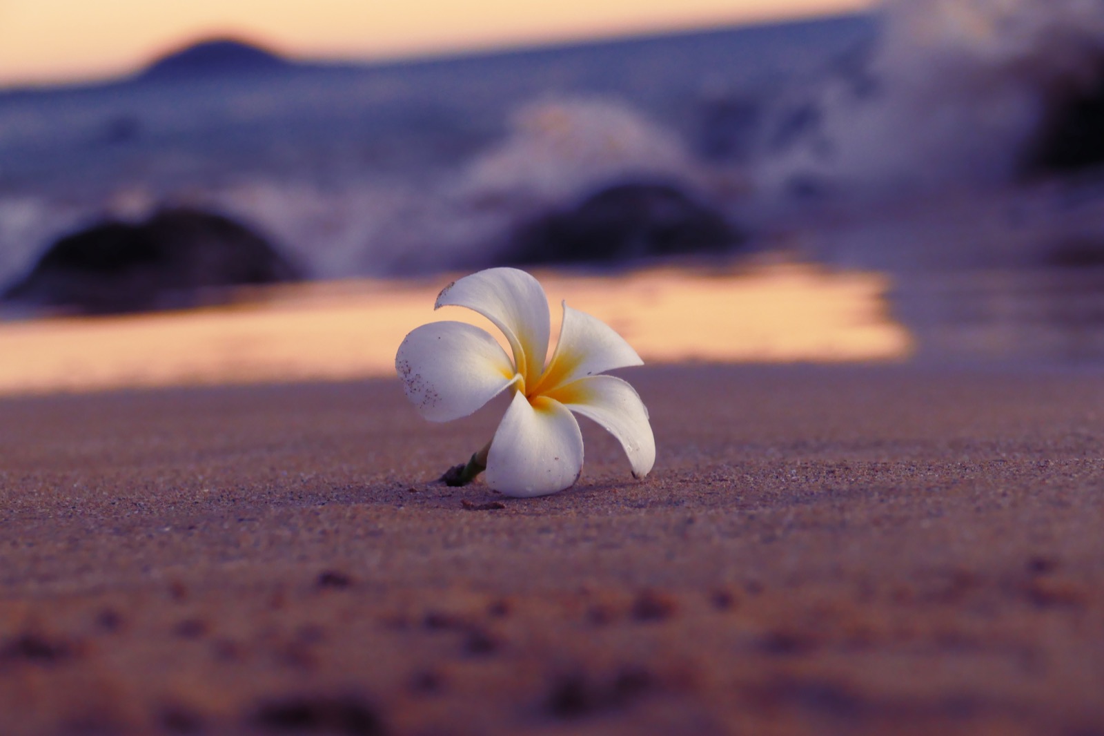 Custom travel and group packages